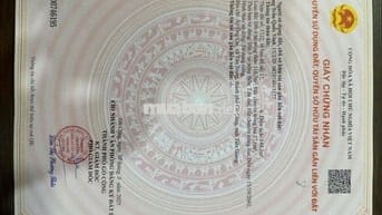 Đất Tân Trung, Gò Công, 145m2/390tr, SHR, kế cầu Mỹ Lợi. Cách SG 50p