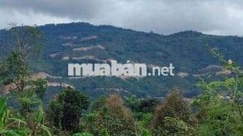#Đất view núi Chứa Chan, Xuân Lộc, 650 triệu, 147m2