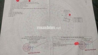 BÁN ĐẤT GIÁ CAO - NHƯNG TIỀM NĂNG - THIỆN CHÍ ALO ĐI COI MUA BÁN LUÔN