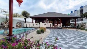 🔥 Biệt Thự Sân Vườn 1000m² – Full Thổ Cư – Full Nội Thất – Giá Sốc