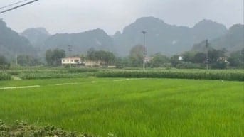 Bán lô đất 760m2 bám mặt đường to liên xã tại Cao Dương, Lương Sơn- HB