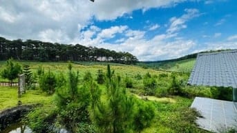 24 LÔ ĐẤT - 300M2 ĐẾN 900M2 - NGANG 10 - CHỈ 4.4 TRIỆU M2