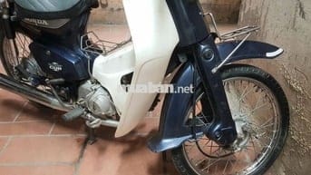 Bán cúp nhật 8270 màu xanh