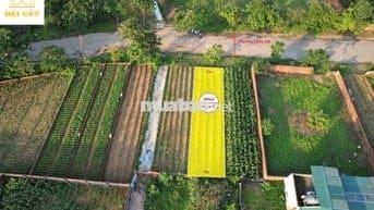 QUÁ NÉT 1002M2 TĐC VAI RÉO, CHỈ HƠN 4 TỶ