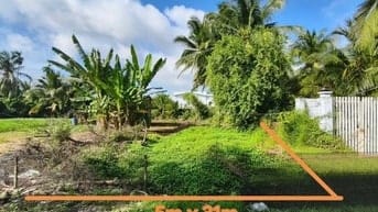 Công ty Đấu giá hợp danh Lam Sơn Sài Gòn THÔNG BÁO ĐẤU GIÁ TÀI SẢN