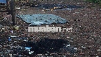 Đất trống tại Nguyễn Văn Tạo. Sổ hồng riêng. Ngang 7m. Công chứng ngay