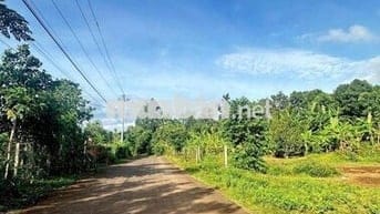 ĐẤT NHÀ VƯỜN PHƯỜNG EAKAO ĐƯỜNG NHỰA