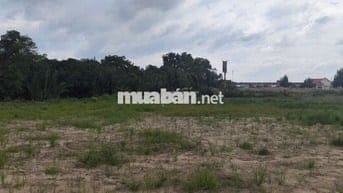 BÁN GẤP ĐẤT NÔNG NGHIỆP ĐƯỜNG BÊ TÔNG CONTAINER – XÃ THANH PHÚ