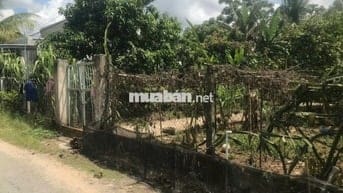 Nền thổ cư giá tốt cho ae định cư tại cần thơ