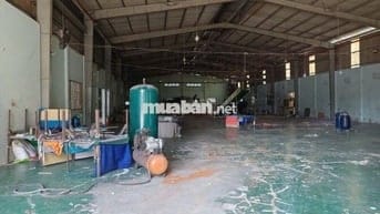 Cho thuê kho xưởng 2.000m², khuôn viên 4.000m², Đức Hòa Đông, Long An