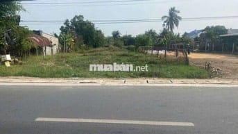 Đất 2 mặt tiền, Ql22B Gò Dầu, 1380m2, sổ sẵn, xây tự do, ngộp 320tr.m