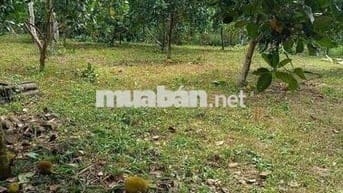 Đất sào trong trung tâm phường Bình Lộc