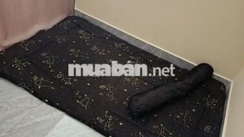 Tìm nam ở ghép bao điện nước trần đại nghĩa bình tân