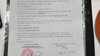 ĐƠN TRÌNH BÁO MẤT GIẤY TỜ PHIẾU ĐĂNG KIỂM 