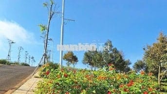 KẸT TIỀN CẦN BÁN GẤP LÔ ĐẤT GẦN QUỐC LỘ 20 LÂM ĐỒNG