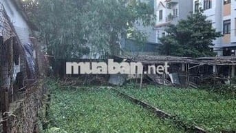 Bán Đất Phúc Lợi -Oto đỗ cửa -vị trí đắc địa