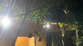 Bán mảnh vườn sau nhà (đất nông nghiệp)