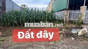 đất diện tích rộng 10x48 - 130m2 thổ cư thôn 8 BMT đường nhựa oto né