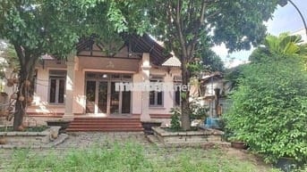 Cho thuê biệt thự hhg  gần ngã tư ga  500m giá 20tr