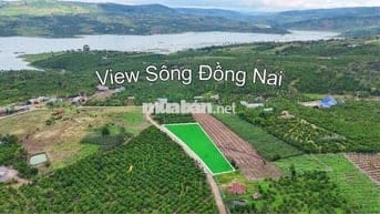 Đất View Sông full thổ 100m2 chỉ 299tr SHR