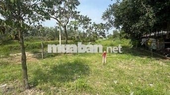 Cần bán 2 lô đất liền kề mặt tiền đường Lục Viên,Đức Lập Hạ