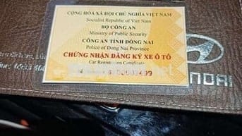 2023 1.5 Đặc biệt - 100060 km