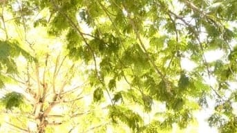 Kết bạn nam từ 52 đến 60t ở Hà Nội