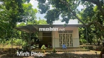 Chủ bể nợ cần bán gấp căn nhà vườn 1385m² giá siêu ngộp 298 triệu