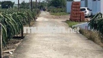 Bán 5.5x20  thồ cư giá rẽ SHR đường Đan xe tải  dân cư đông đúc