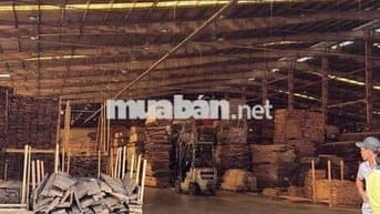 Bán hoặc cho thuê xưởng TRONG KCN TÂN UYÊN – TP. HỒ CHÍ MINH (Dự kiến