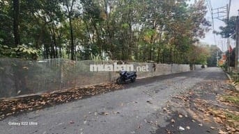 💥Giá chỉ : 13 tr 979k/m2
     Bán đất mặt tiền đường ĐX064