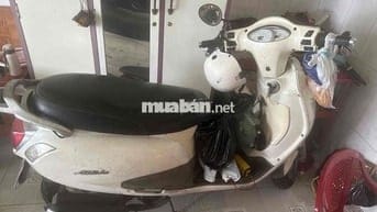 SYM Attila Elizabeth Trắng