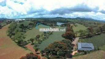 SỐC CHỈ 7 TRIỆU/M2 SỞ HỮU ĐẤT VIEW ĐỒI-HỒ-RỪNG THÔNG–NGHỈ DƯỠNGBẢO LỘC