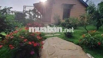 Bán gấp  Nhà vườn 200m² đẹp như resort, P.2 Bảo Lộc giá 490triệu