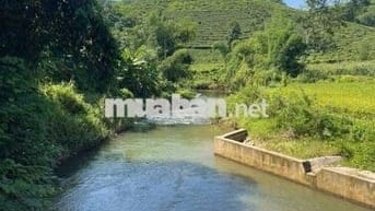 Bán gấp lô đất chỉ 1triệu/m2 ở phường 2-Bảo Lộc view hồ-rừng thông