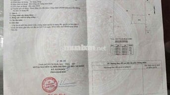 Bình Hưng Hoà B – thửa 514 – 371m²