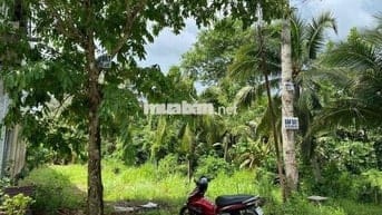 mặt tiền lộ bờ đắp,phường phú khương,tỉnh vĩnh long