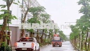 CẦN BÁN GẤP SHOPHOUSE TẠI THÀNH PHỐ VINH
