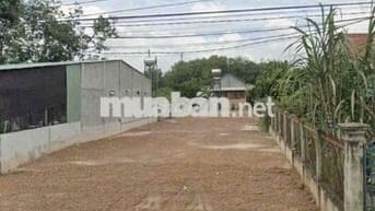 Chủ ngộp cần ra gấp 225m2 đất thổ cư gần KCN An bình thuộc TP. HCM