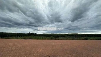 Bán đất đường xuyên tâm 1000m2(25x40) sẵn 500mTC giá 880tr Bình Phước