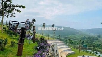 Đất View Hồ Tảo Hồng Trên Đồi Chè Ngay Khu Du Lịch lớn.