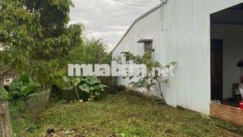 BÁN GẤP LÔ ĐẤT 135M2 - THỔ CƯ 80M2 - NGAY TRUNG TÂM BẢO LỘC