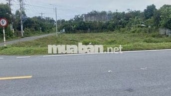 Bán đất ở gần ql 22,Tân Thông Hội 450m2,1ty48,shr,gần kcn tây bắc