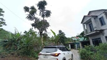 ĐẤT LÔ GÓC 430M2 - ĐƯỜNG LIÊN XÃ-GẦN UỶ BAN TRƯỜNG HỌC-