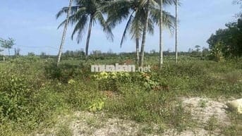 lô Đất đẹp diện tích lớn view lúa xã Bình Giang, Thăng Bình