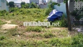 Tôi cần bán gấp 5x26m/SHR thổ cư Nguyễn Văn Dương,sau trường cấp 3.