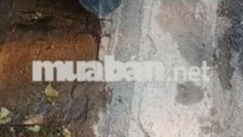 Bán xe Vision cần mua ib thương lượng