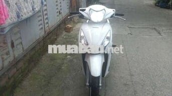 Vision cuối 2016 cọp bstp