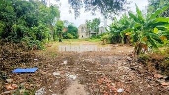 Đất thổ cư 1/Tân Hiệp 18-Hóc Môn.Dt 18x45~738m2 có 491m2 thổ cư~9ty