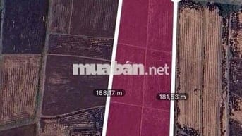 Chỉ 3tr/m2 xã xuân thơi sơn Hóc môn ,11,000m2 ,Pháp lý đầy đủ